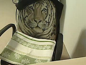cocktail911 Cam