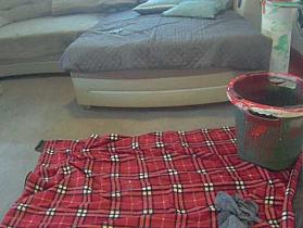 sideshowcan Cam