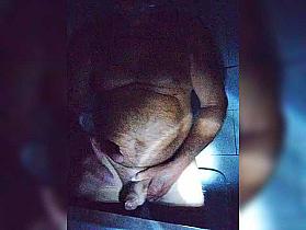 Sunshine-Lady33 Cam