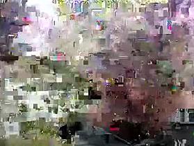 junction1000 Cam