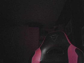 SchwanzusLongus25cm Cam