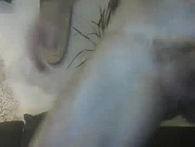 boobgoof Cam